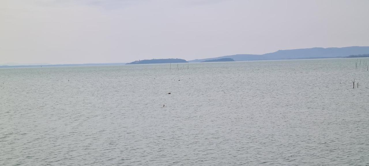 Appartamento Lago Trasimeno - Torricella Pg Torricella (Magione) Exterior foto